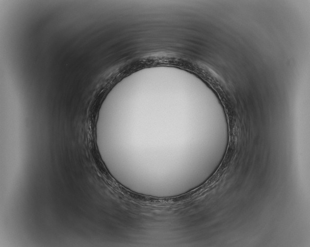 X0000115271062200911061303