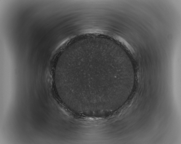 X0000115271064200911061303