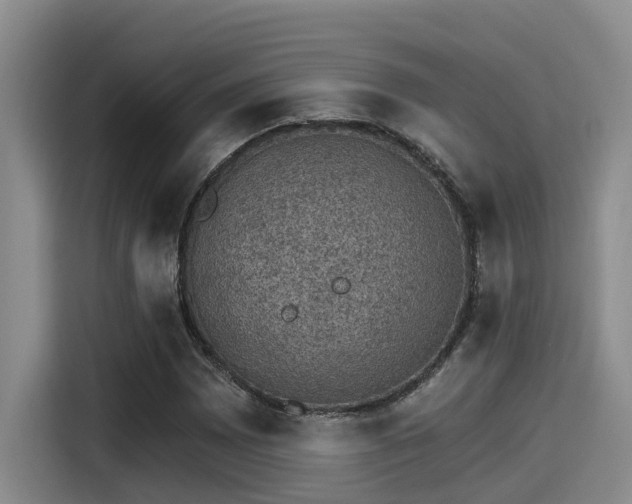 X0000115271065200911061303