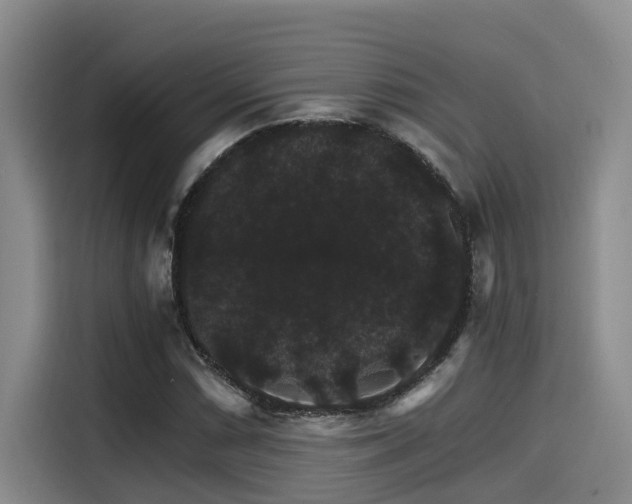 X0000115271066200911061303