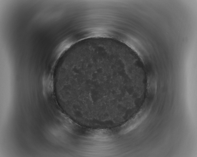 X0000115271067200911061303