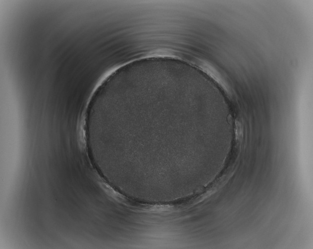 X0000115271068200911061303