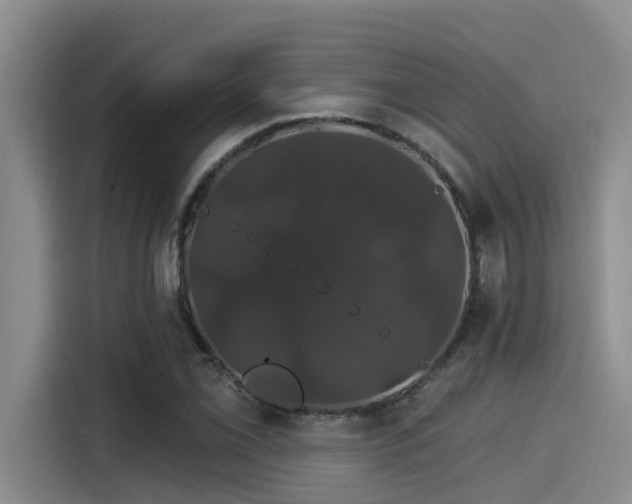 X0000115271069200911061303