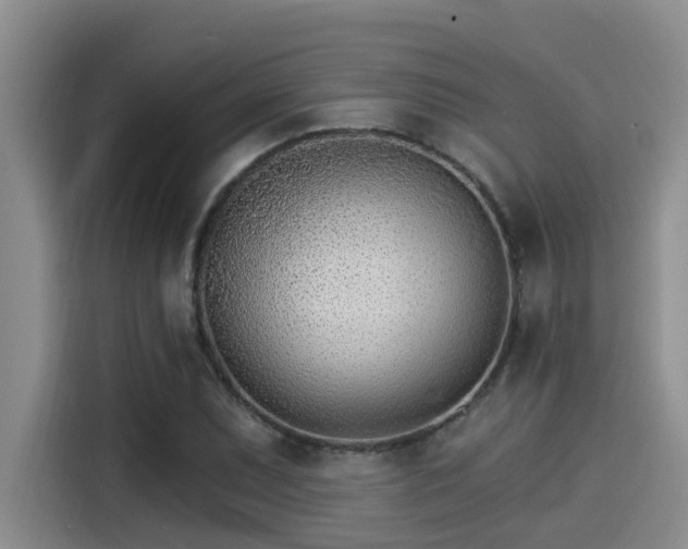 X0000115271071200911061303