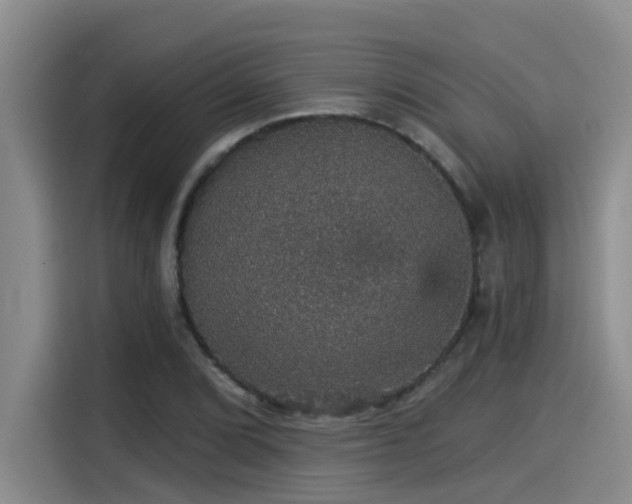 X0000115271072200911061303