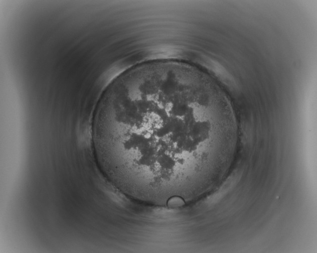 X0000115271073200911061303