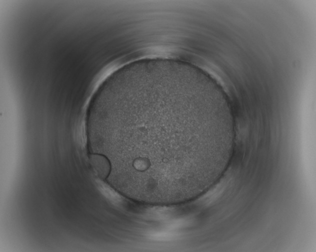 X0000115271075200911061303