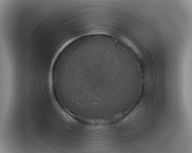 X0000115271076200911061303