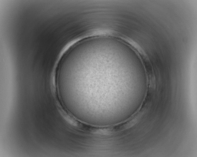 X0000115271078200911061303