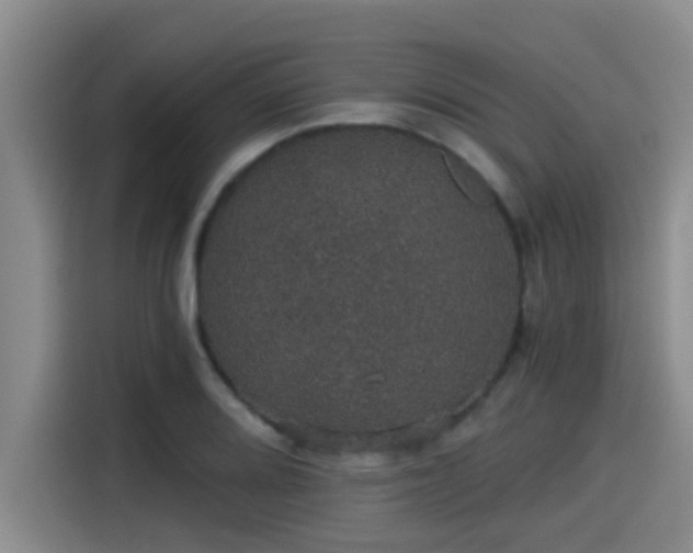X0000115271080200911061303