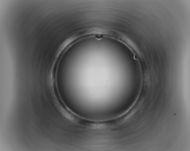 X0000115271082200911061303