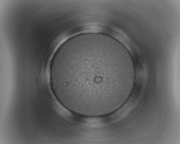 X0000115271083200911061303