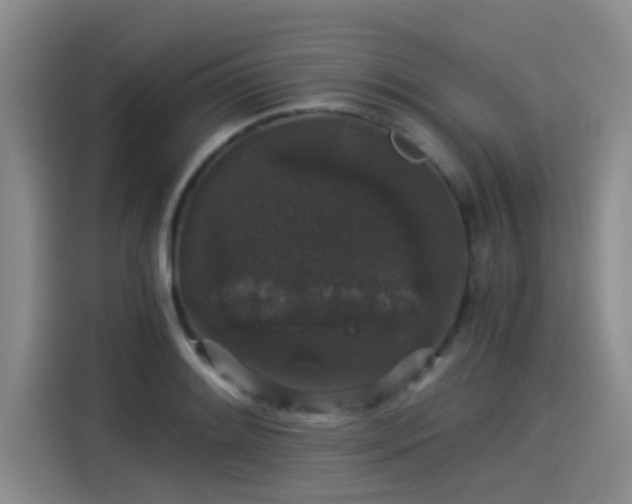 X0000115271084200911061303