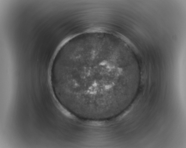X0000115271086200911061303