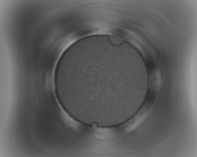 X0000115271087200911061303