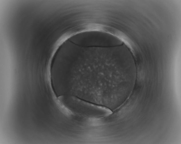 X0000115271088200911061303