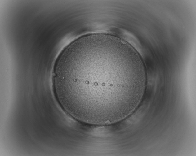 X0000115271093200911061303