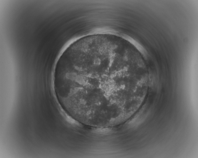 X0000115271094200911061303