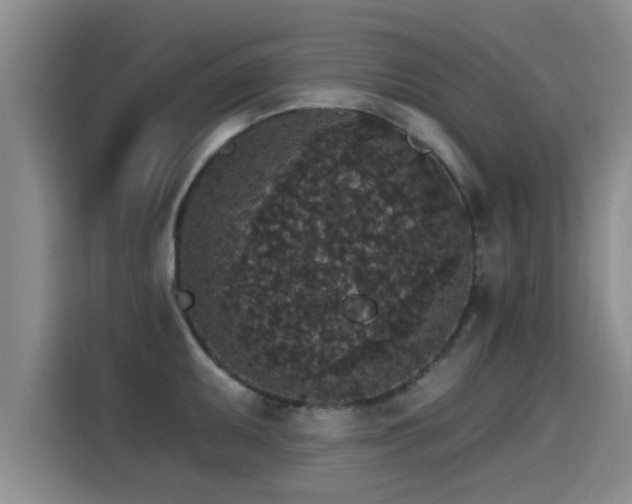 X0000115271095200911061303