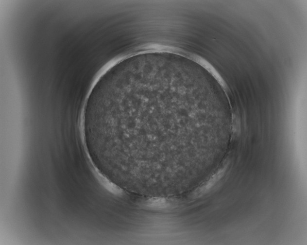 X0000115271098200911061303