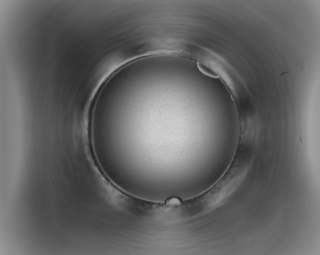 X0000115271099200911061303