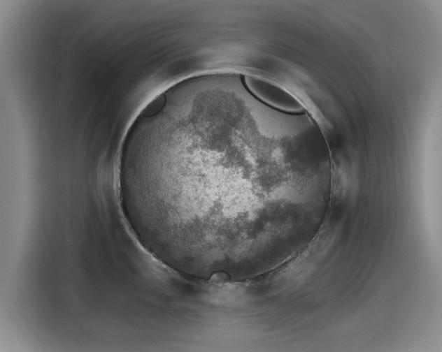 X0000115271101200911061303