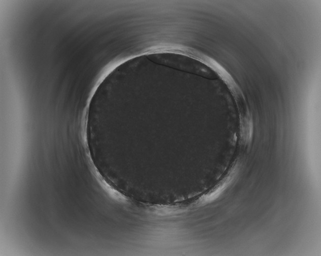 X0000115271102200911061303
