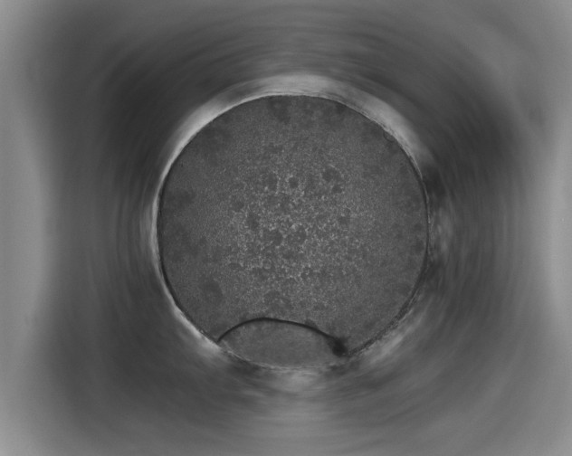 X0000115271103200911061303