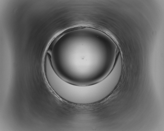 X0000115271104200911061303