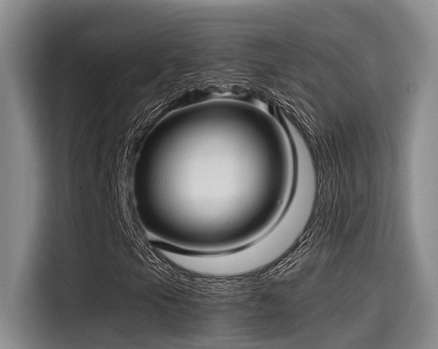 X0000115271105200911061302