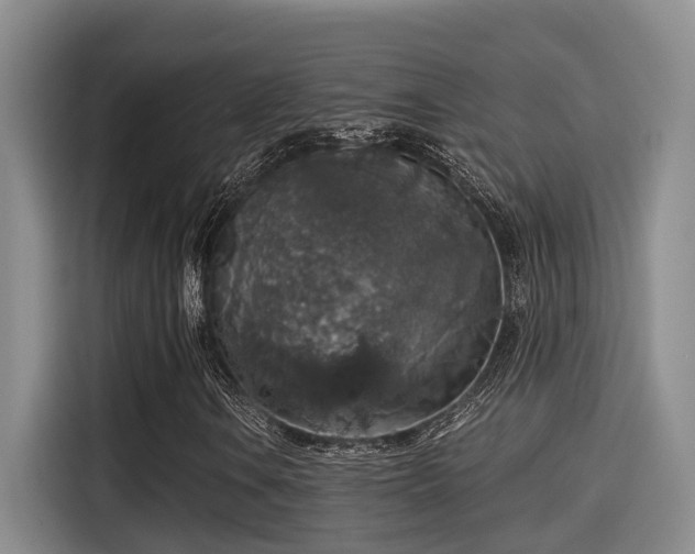 X0000115271106200911061302