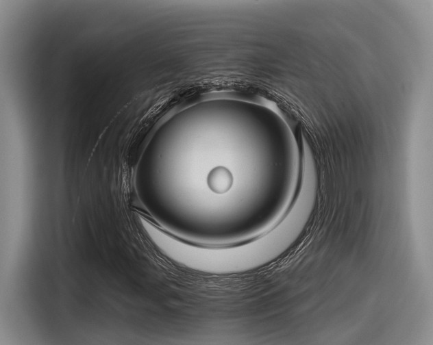 X0000115271107200911061302