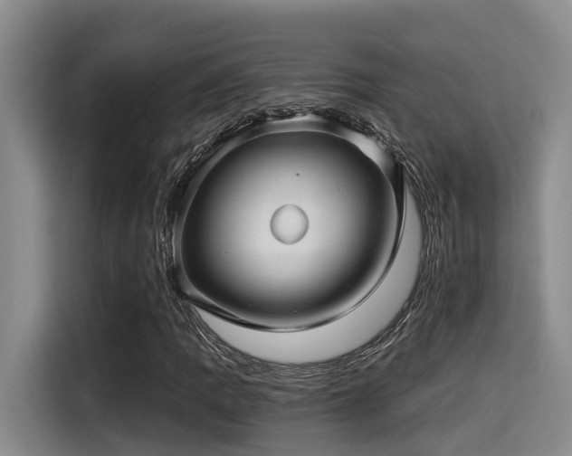 X0000115271109200911061302