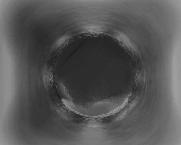 X0000115271110200911061302
