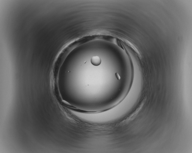 X0000115271117200911061302