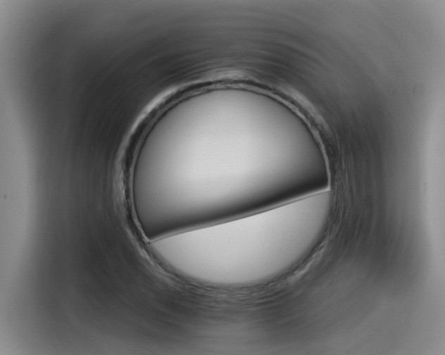 X0000115271118200911061302