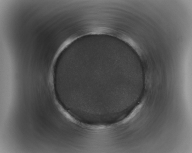 X0000115271122200911061302