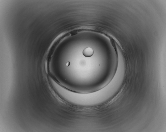 X0000115271123200911061302