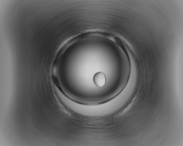 X0000115271129200911061302