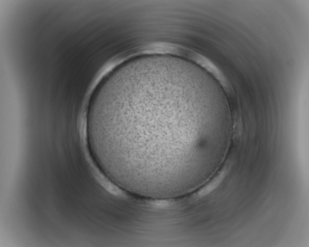 X0000115271130200911061302