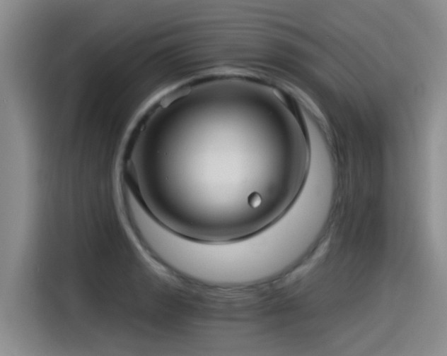 X0000115271133200911061302