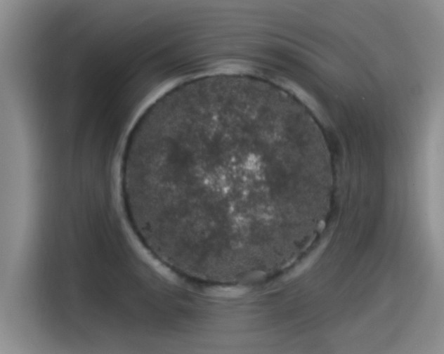 X0000115271134200911061302