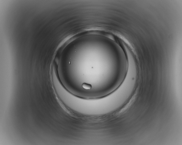 X0000115271137200911061302