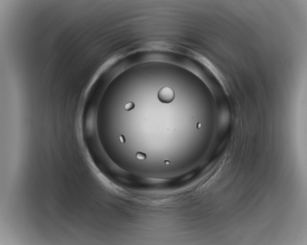 X0000115271139200911061302