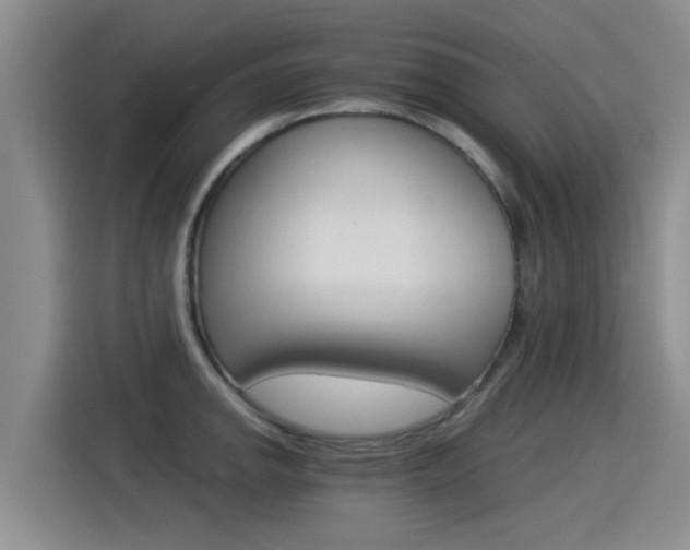 X0000115271142200911061302