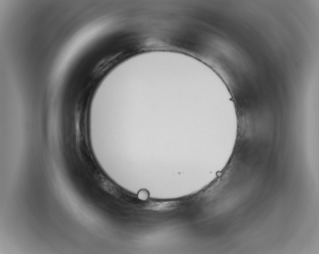 X0000115271150200911061303