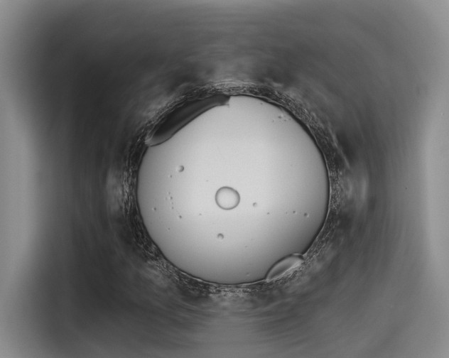 X0000115271157200911061302