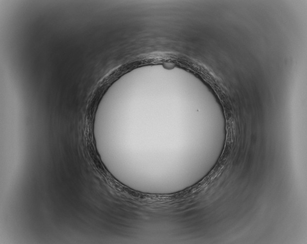 X0000115271158200911061302