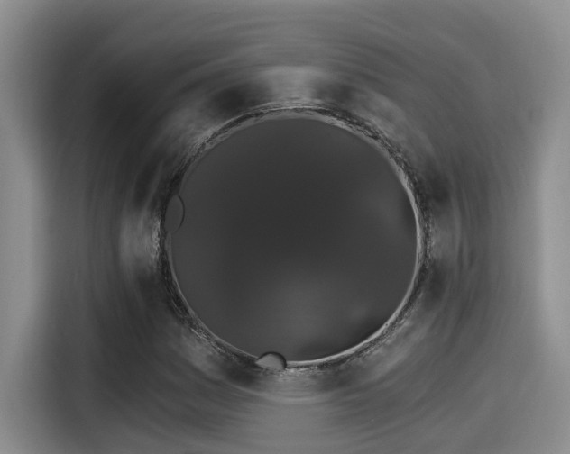 X0000115271161200911061302