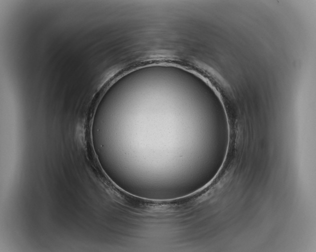 X0000115271162200911061302
